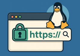 linux-cpanel-ssl-install