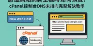 cpanel-dns-preview